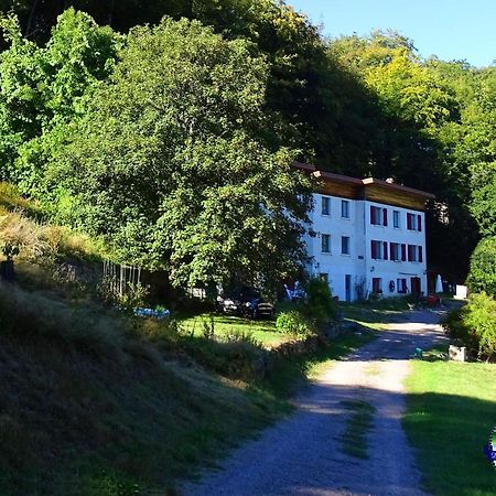 Domaine L'Imperatrice Apartman Plombières-les-Bains Kültér fotó