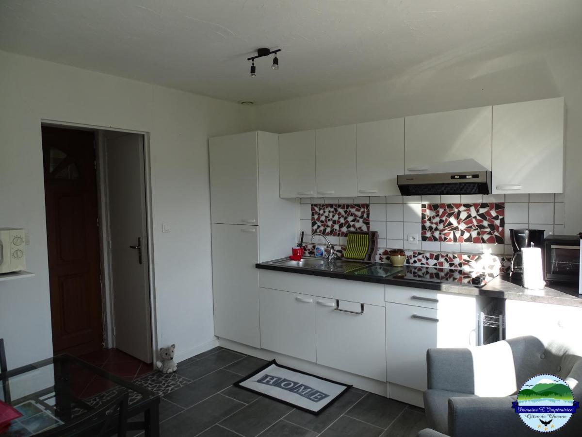 Domaine L'Imperatrice Apartman Plombières-les-Bains Kültér fotó
