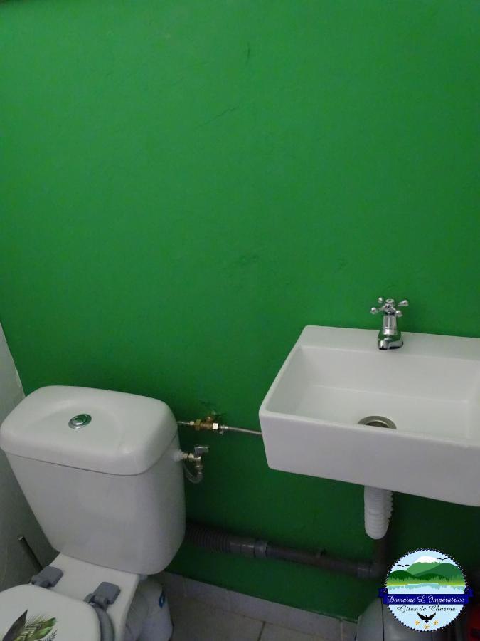 Domaine L'Imperatrice Apartman Plombières-les-Bains Kültér fotó