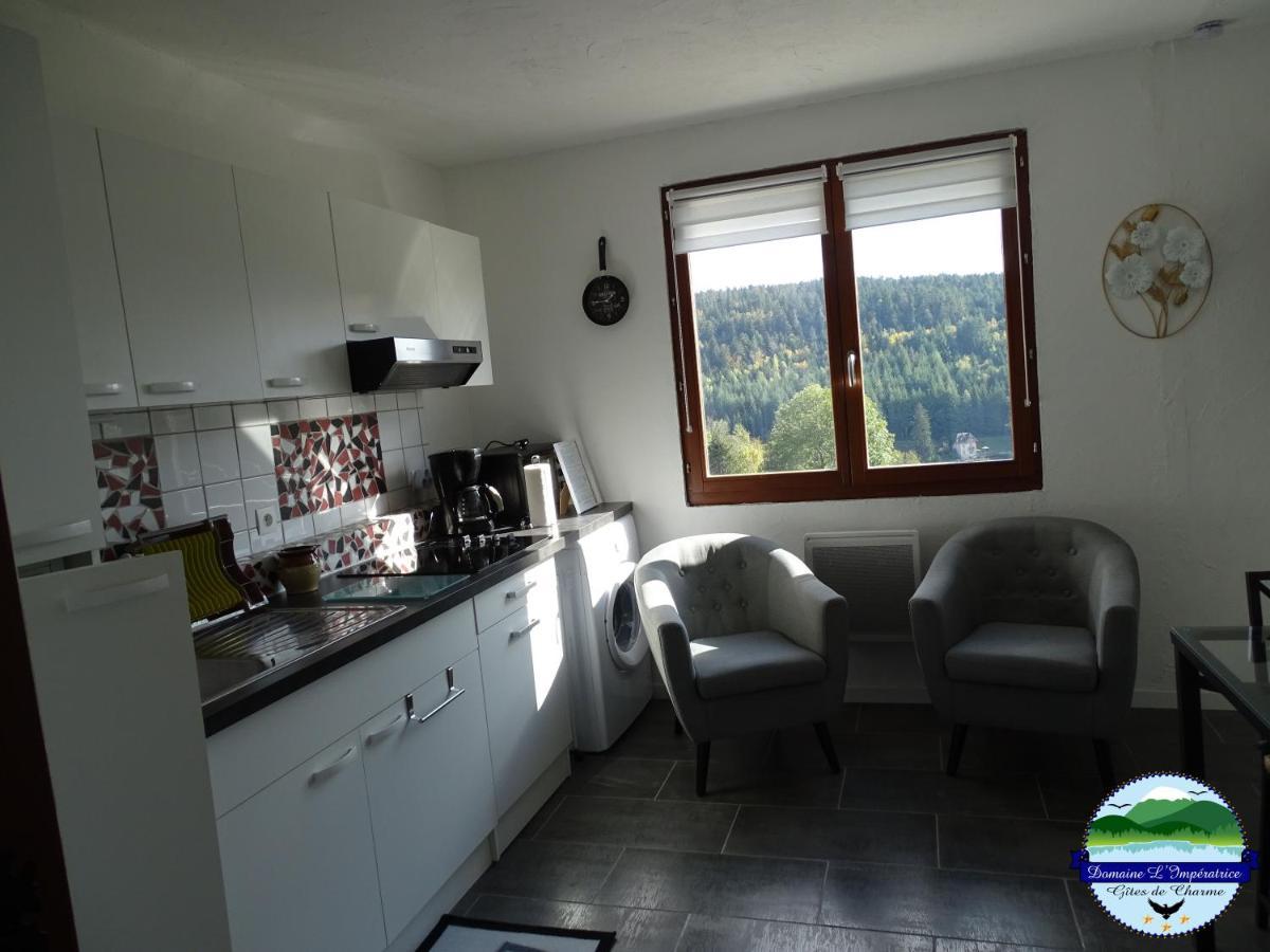 Domaine L'Imperatrice Apartman Plombières-les-Bains Kültér fotó