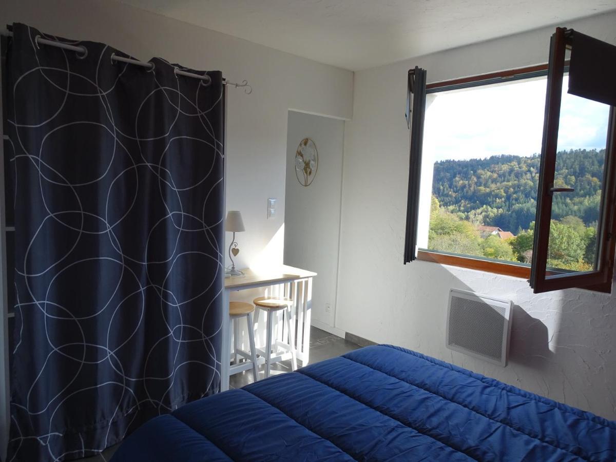 Domaine L'Imperatrice Apartman Plombières-les-Bains Kültér fotó