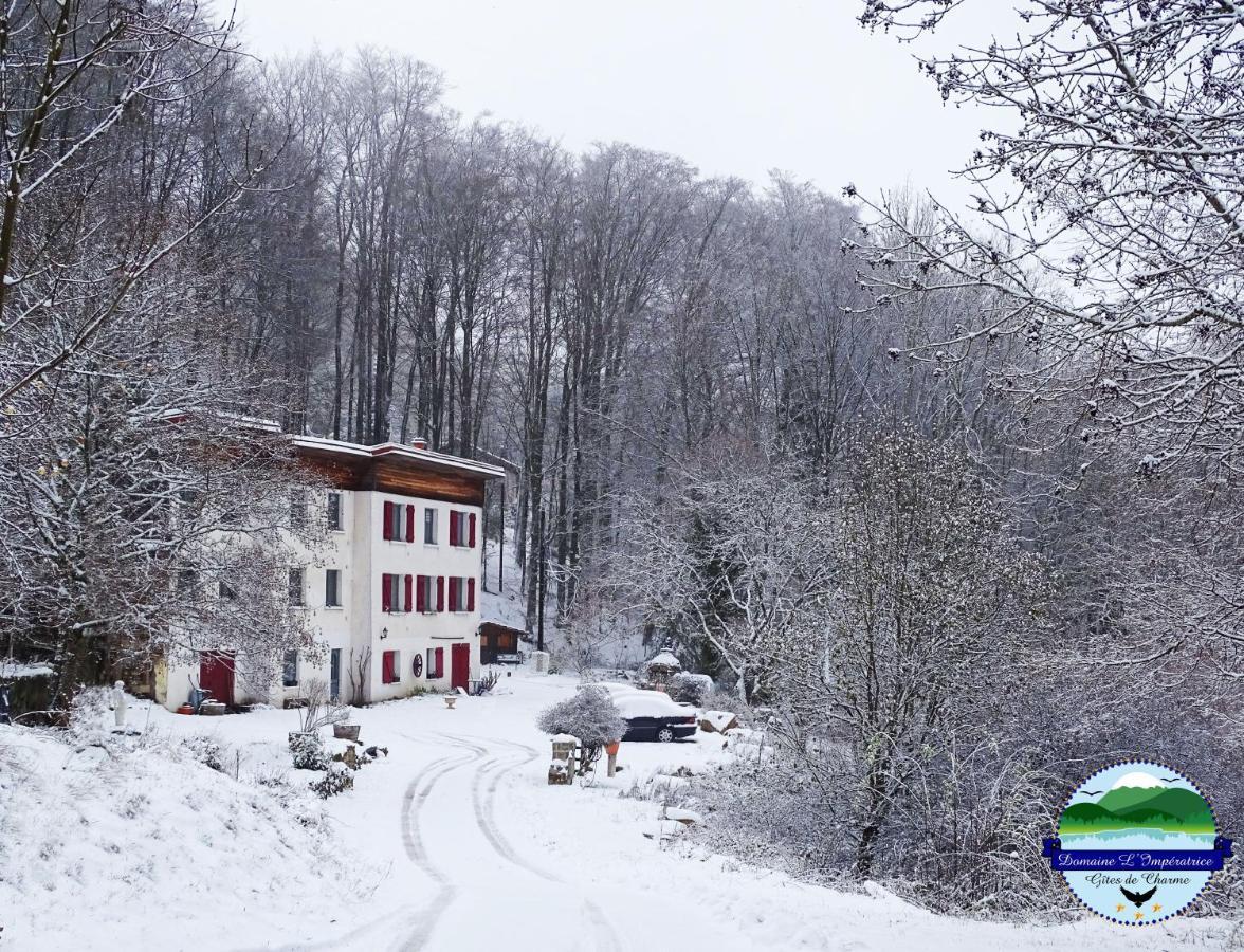 Domaine L'Imperatrice Apartman Plombières-les-Bains Kültér fotó